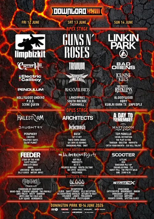 Download Festival festival poster